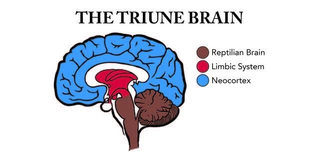 Triune+Brain-01_0